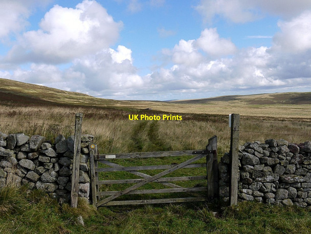 Photo 6"x4" Gate on bridleway above Hartside Linhope\/NT9616 c2012