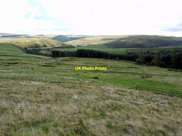 Photo 6"x4" Site of the 'Western Fort', Grieve's Ash Linhope\/NT9616 c2012