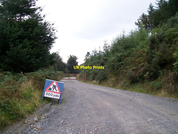 Photo 6"x4" Track leading south toward Cragnagore Newcastle\/J3732 c2012