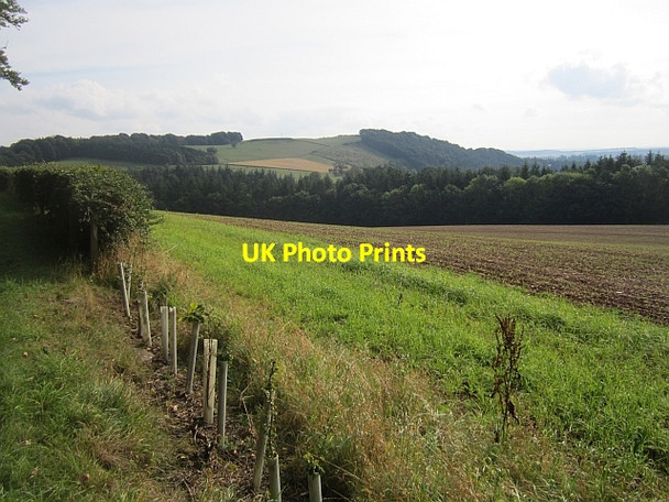 Photo 6"x4" Winter cereals, Ravenswood Bemersyde c2012