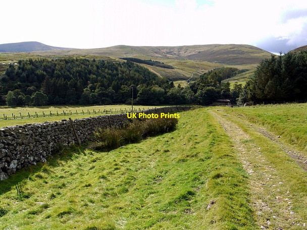 Photo 6"x4" Bridleway leading to the minor road west of Linhope Linhope\/NT9616 c2012