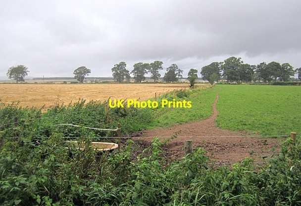 Photo 6"x4" Bath in a field East Whitefield c2012