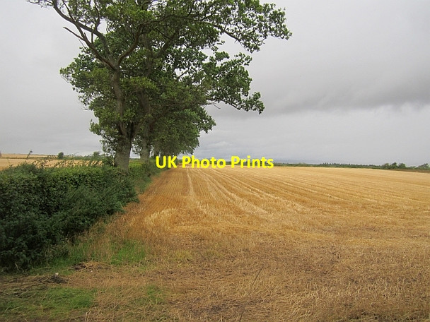 Photo 6"x4" Stubble, Redstone Saucher c2012