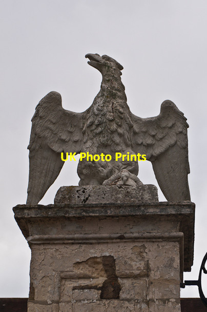 Photo 6"x4" Eagle, Reigate Priory Reigate c2012