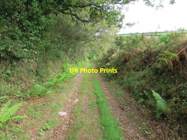 Photo 6"x4" Ffordd Las Llanybri green road Llanybri c2012