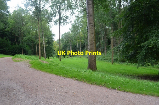 Photo 6"x4" Hestercombe Gardens - landscape gardens Gotton c2012 P2