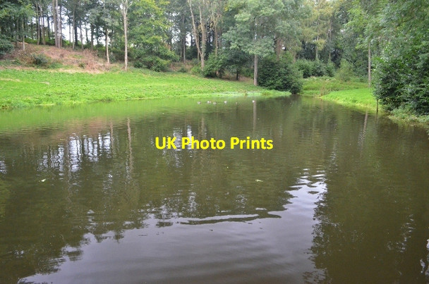 Photo 6"x4" Hestercombe Gardens - landscape gardens Gotton c2012 P3