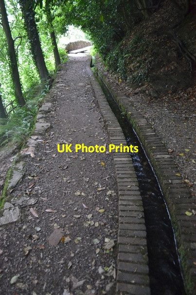 Photo 6"x4" Hestercombe Gardens - landscape gardens Gotton c2012