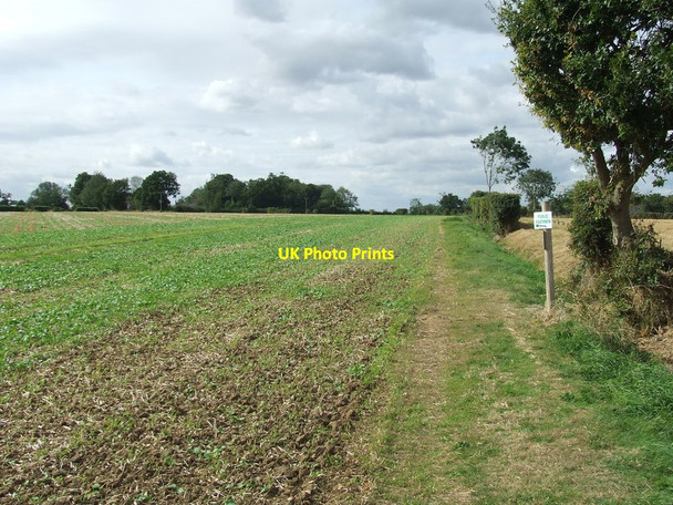 Photo 6"x4" Footpath Route Slightly Changed Denham\/TM1974 c2012