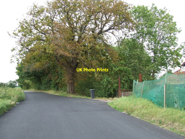 Photo 6"x4" Chestnut Tree Farm Denham\/TM1974 c2012