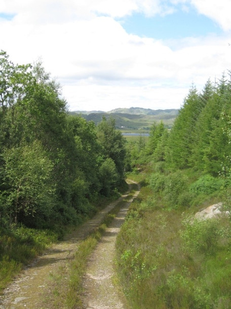 Photo 6"x4" Forestry track below Sr\u00c3\u00b2n na Gaoithe, Loch Sheil beyond Ardshealach c2008