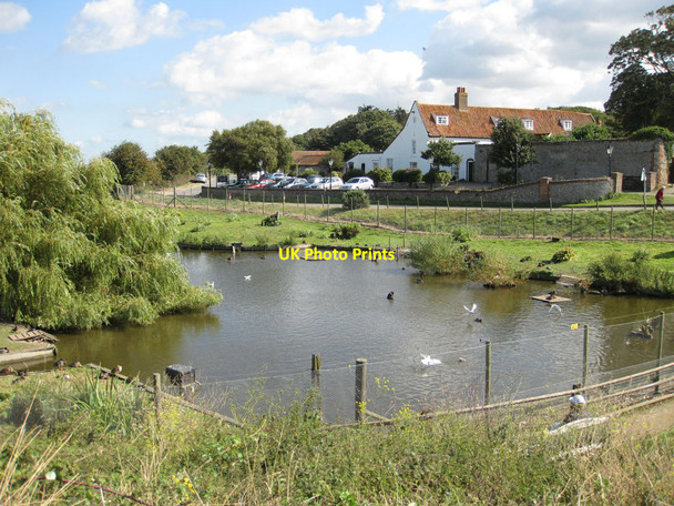 Photo 6"x4" Freshwater pond at Blakeney Blakeney\/TG0243 c2012