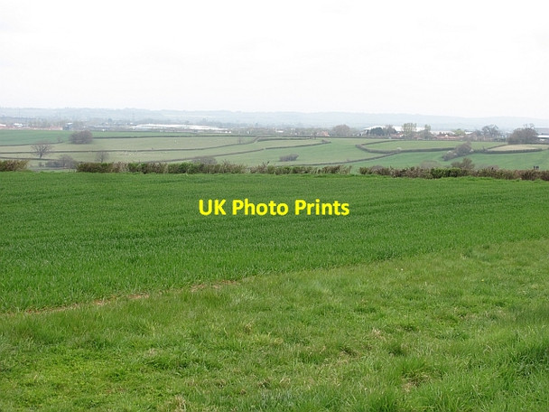 Photo 6"x4" Field, North Petherton Melcombe c2012