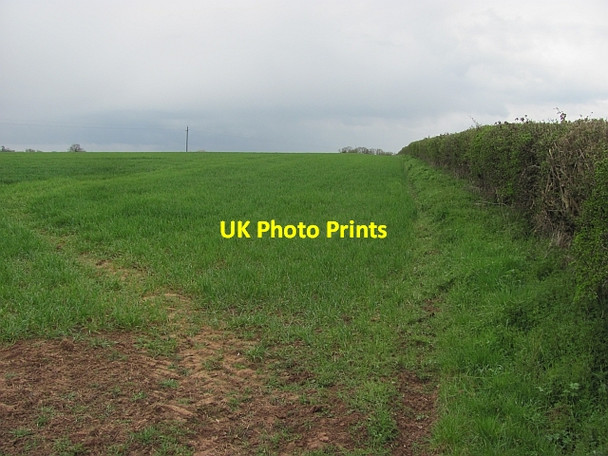 Photo 6"x4" Field outside Ledbury Ledbury c2012