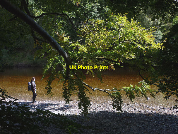 Photo 6"x4" By the edge of the River Garry Faskally c2012