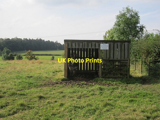 Photo 6"x4" Shed, The Holmes Dryburgh\/NT5931 c2012