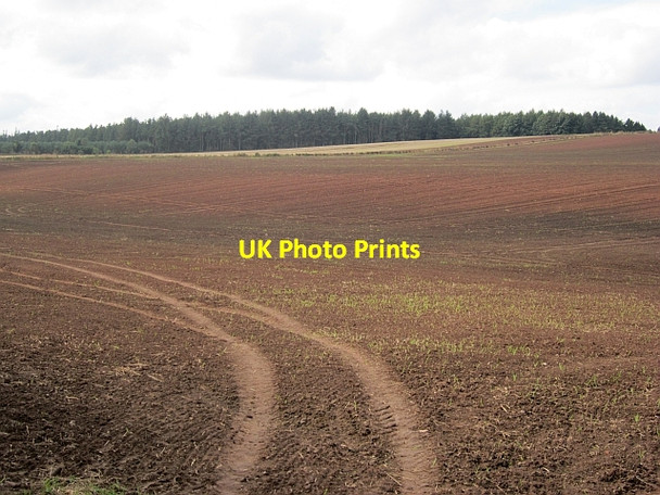 Photo 6"x4" Germinating crop Easter Softlaw c2012