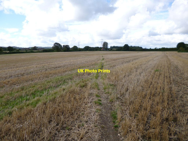 Photo 6"x4" Cowgrove, stubble field Cowgrove\/SY9899 c2012