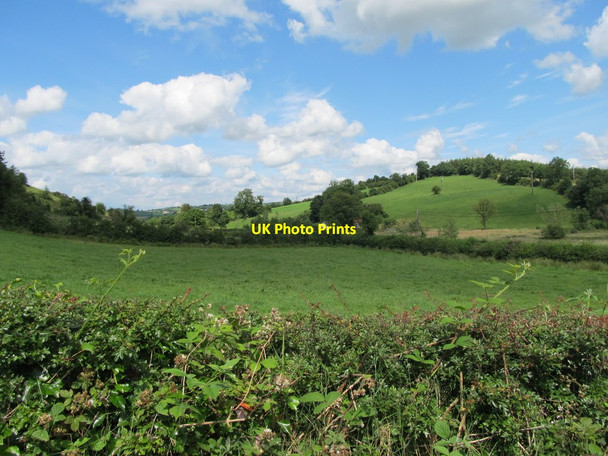 Photo 6"x4" Inter-drumlin wetland east of the R191 Madabawn c2012