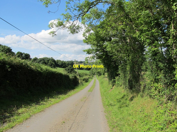 Photo 6"x4" View north along the Old Cootehill\/Canningstown coachroad Madabawn c2012