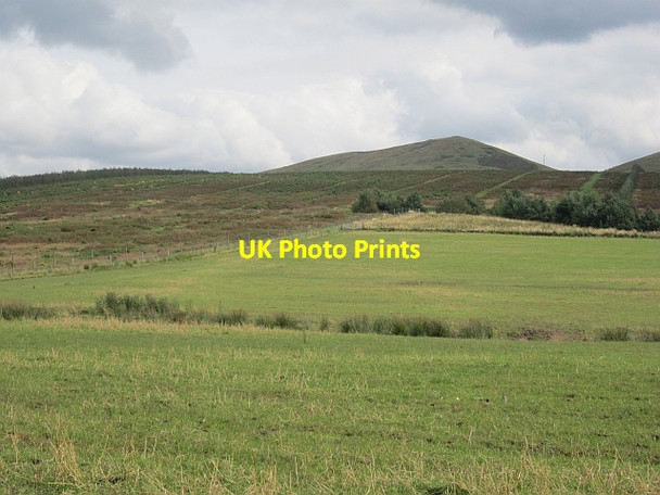 Photo 6"x4" Cell Cleuch Edgerston c2012