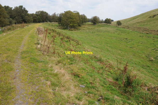 Photo 6"x4" Track near Blaen-y-cwm Llanyre c2012