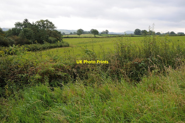 Photo 6"x4" Farmland south of Llanyre Llandrindod Wells\/Llandrindod c2012