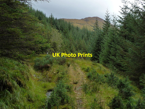 Photo 6"x4" Glen Orchy Mountain Bike Trail Allt Coire Bhiocair c2012