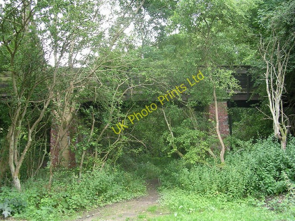 Photo 6"x4" Old railway at Wharram Percy Wharram Percy c2005