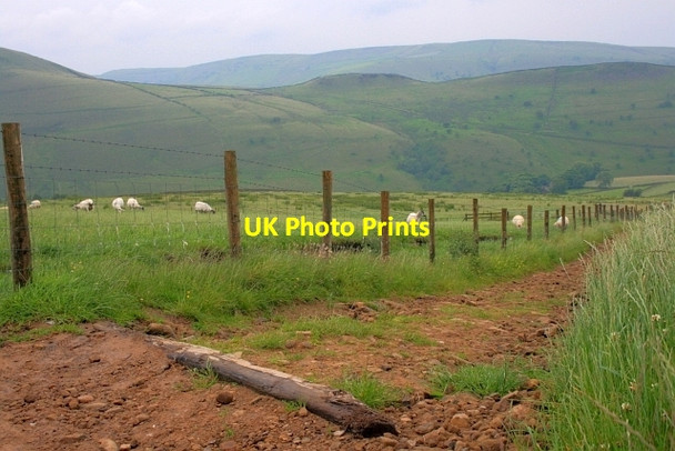 Photo 6"x4" Bridleway to Coldwell Clough Farlands Booth c2012