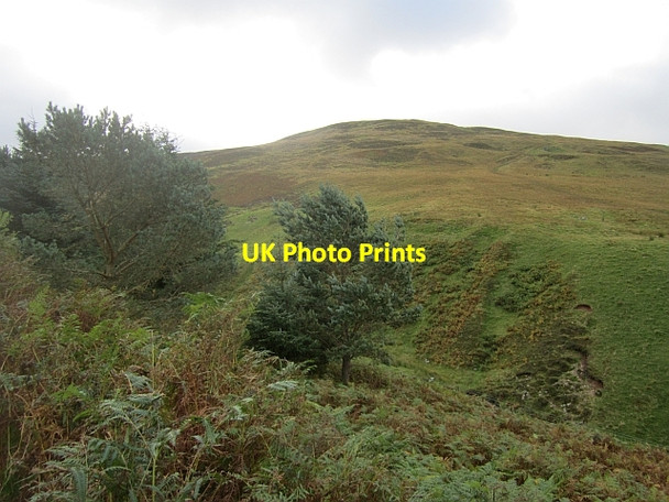 Photo 6"x4" Langhaugh Hill Langhaugh\/NT2031 c2012
