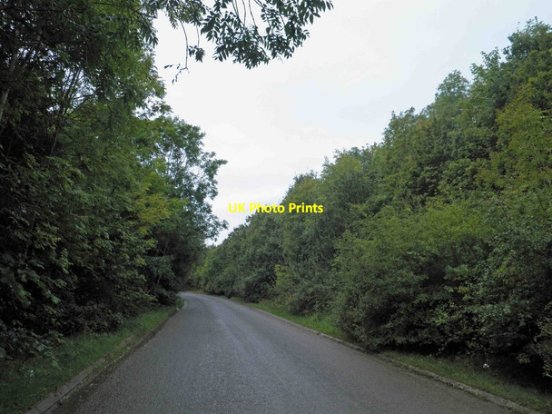 Photo 6"x4" Gerbestone Lane near junction 26 M5 motorway Wellington\/ST1420 c2012
