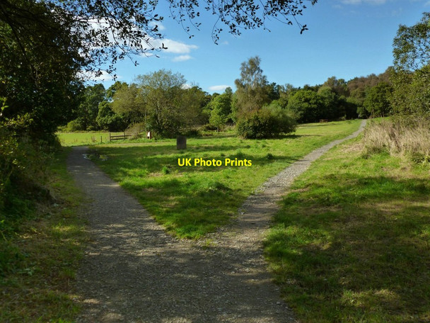 Photo 6"x4" Footpath junction in Duchess Wood Helensburgh c2012
