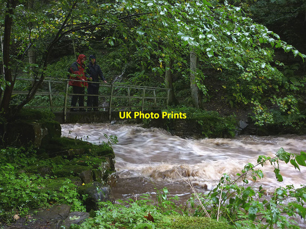 Photo 6"x4" Footbridge, Whitfield Gill Grange\/SD9391 c2012