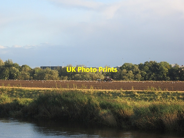 Photo 6"x4" Ploughing, Cambuskenneth Stirling\/NS7993 c2012