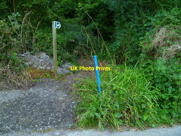 Photo 6"x4" The Orange Way in Dorset and Somerset (189) Goathill c2012