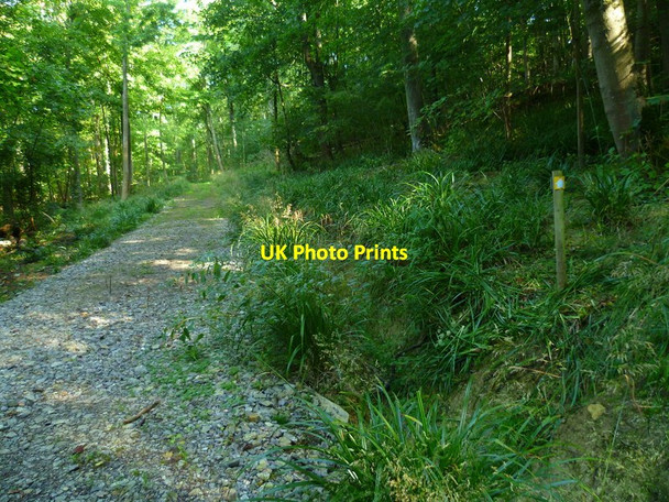Photo 6"x4" The Orange Way in Dorset and Somerset (193) Goathill c2012