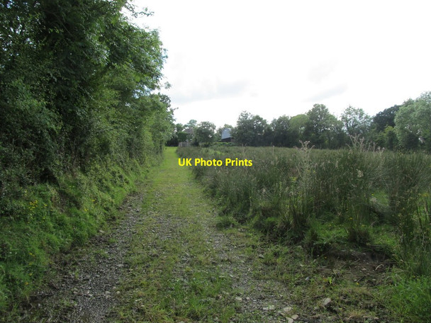 Photo 6"x4" Private track leading to farm buildings Madabawn c2012