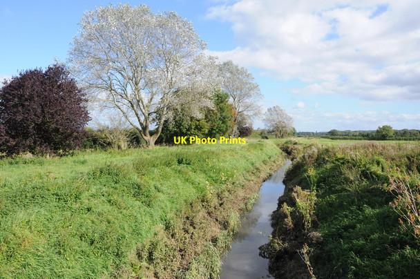 Photo 6"x4" Oldbury Pill beside Pickedmoor Oldbury-on-Severn c2012