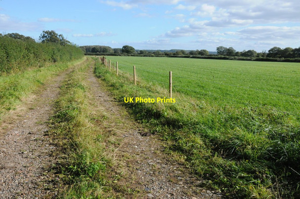 Photo 6"x4" Footpath and track Nupdown c2012