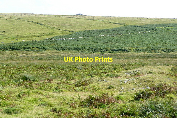 Photo 6"x4" Across the Plym Sheepstor c2012