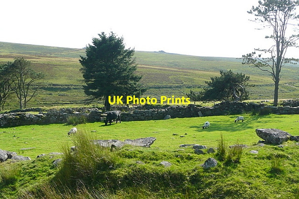 Photo 6"x4" Ditsworthy Warren House Sheepstor c2012