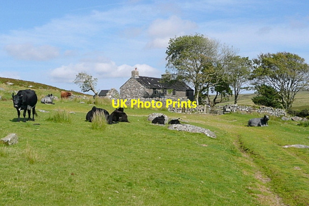 Photo 6"x4" Ditsworthy Warren House Sheepstor c2012 P2