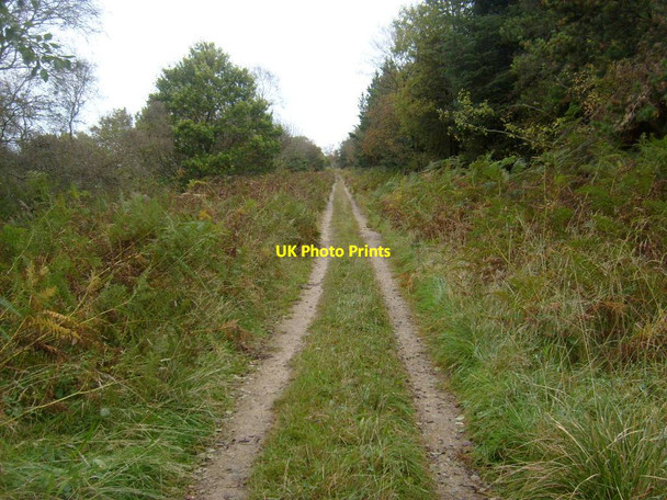Photo 6"x4" Track along the top of Crosscliff Brow Keeper's Old Ho c2012