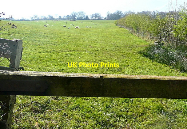 Photo 6"x4" Pasture near Huntscott Brockwell c2012