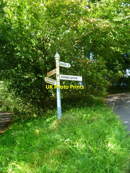 Photo 6"x4" The Orange Way in Dorset and Somerset (285) Pear Ash c2012