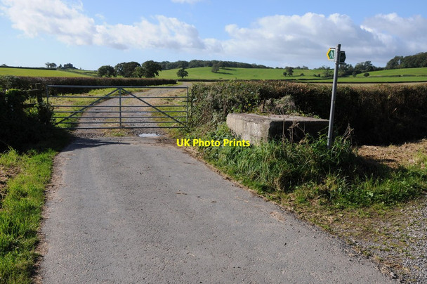 Photo 6"x4" Milk churn stand at the end of the road Hystfield c2012