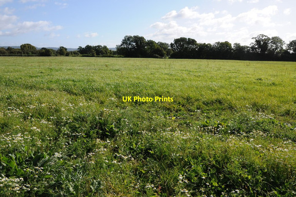 Photo 6"x4" Field near Pedington Farm Hystfield c2012