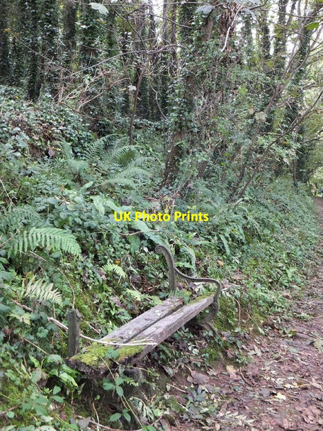 Photo 6"x4" A seat which has seen better days Torquay c2012