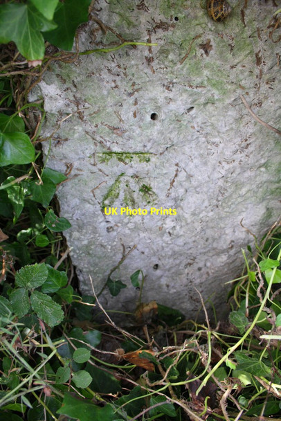 Photo 6"x4" Benchmark on old gatepost on Southwell Road Easton\/SY6971 c2012